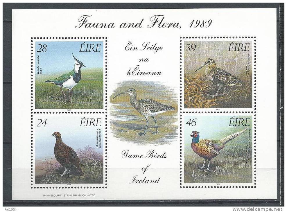 Irlande 1989 Bloc  N°7 Oiseaux - Blocs-feuillets