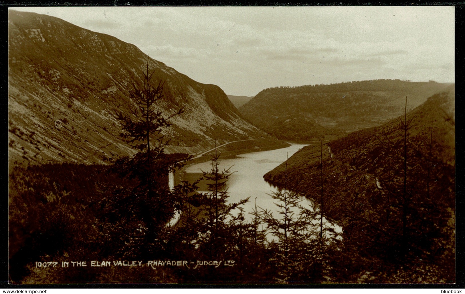 Ref 1271 - Judges Real Photo Postcard - In The Elan Valley Rhayader - Radnorshire Wales - Radnorshire