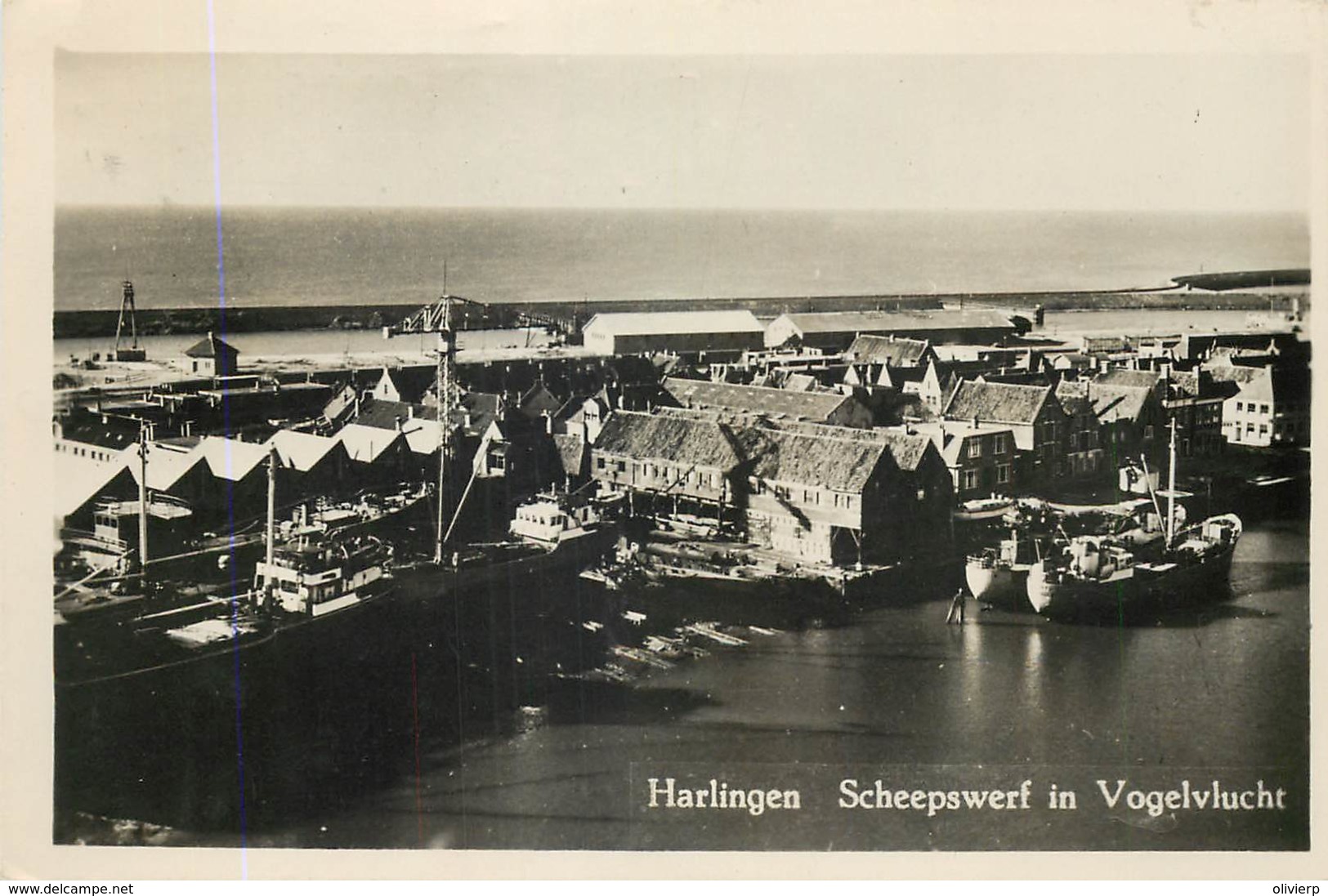 Pays-Bas - Harlingen - Scheepswerf In Vogelvlucht - Harlingen