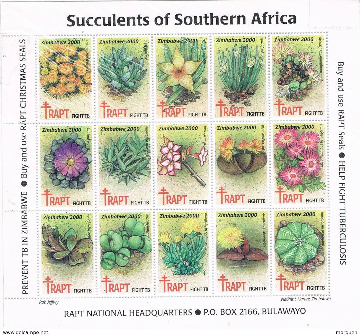 Viñetas, Label, RAPT Succulents Southern Africa ZIMBABWE 2000, Cactus, Vegetal, Tuberculosis - Zimbabwe (1980-...)