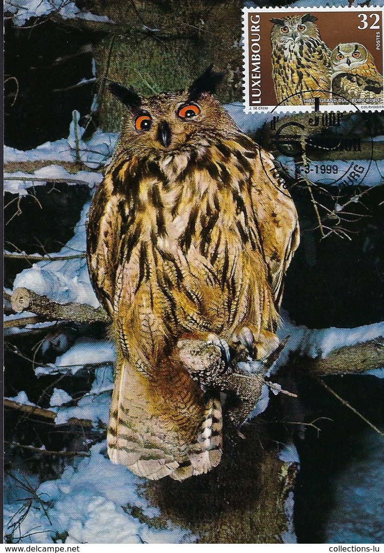 Grand-duc  -  Uhu  -  Eagle Owl   ( Michel 1467 ) - Cartes Maximum