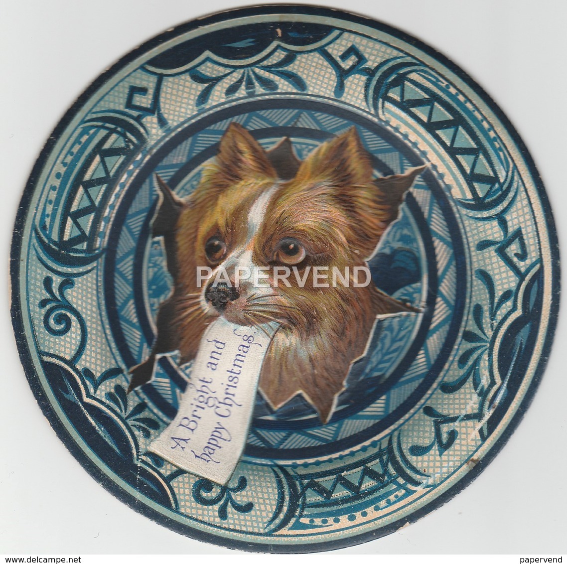 Christmas Card Dog Head Through A Plate Egc270 - Unclassified