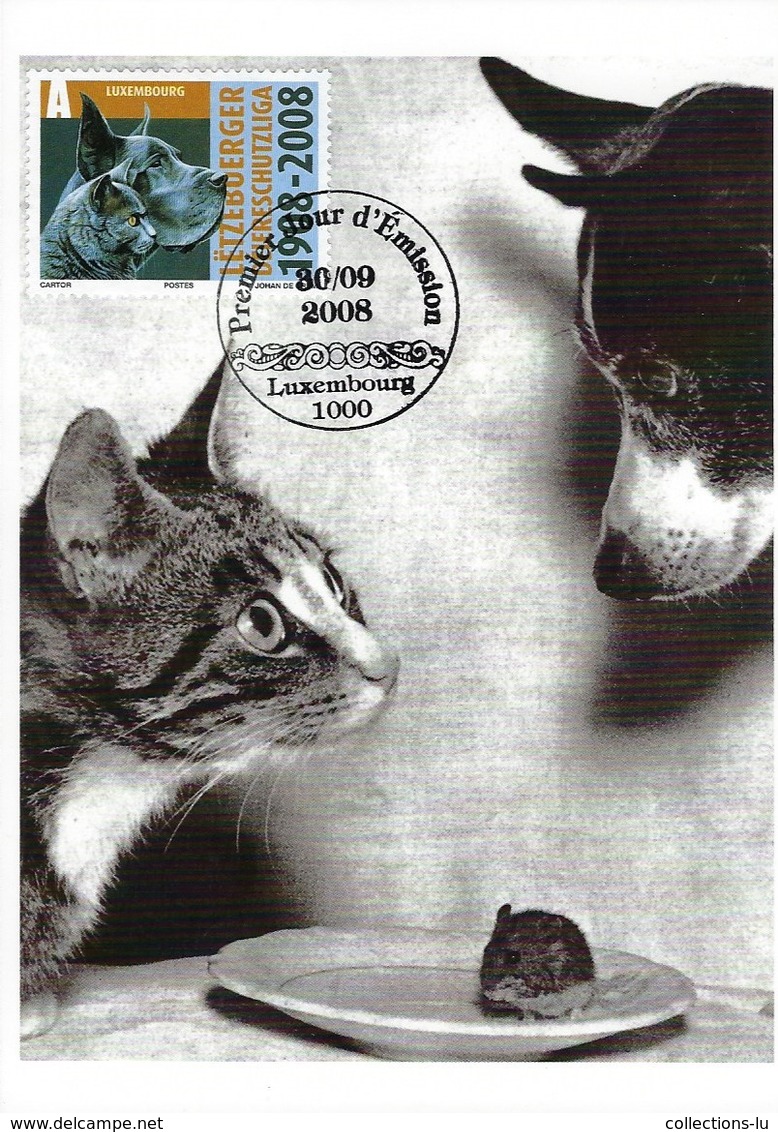 Chien Et Chat  -  Hund Und Katze  -  Dog And Cats    ( Michel 1787 ) - Cartes Maximum