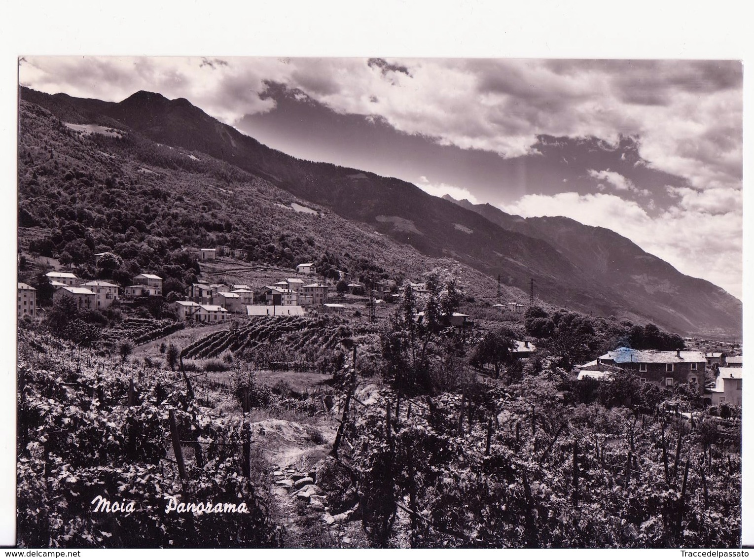 CARTOLINA BIANCO E NERO DI MOIA - FRAZ. ALBOSAGGIA (SONDRIO) 1972 - Altri & Non Classificati