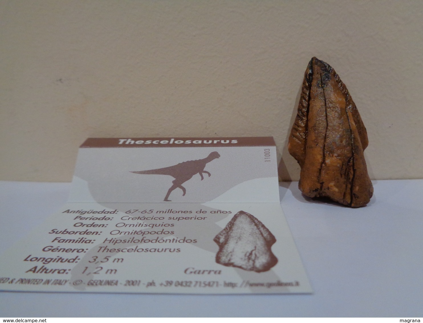 Colección de 27 replicas de garras y dientes fósiles de dinosaurios en 4 estuches. Marca Geofin-Italy.