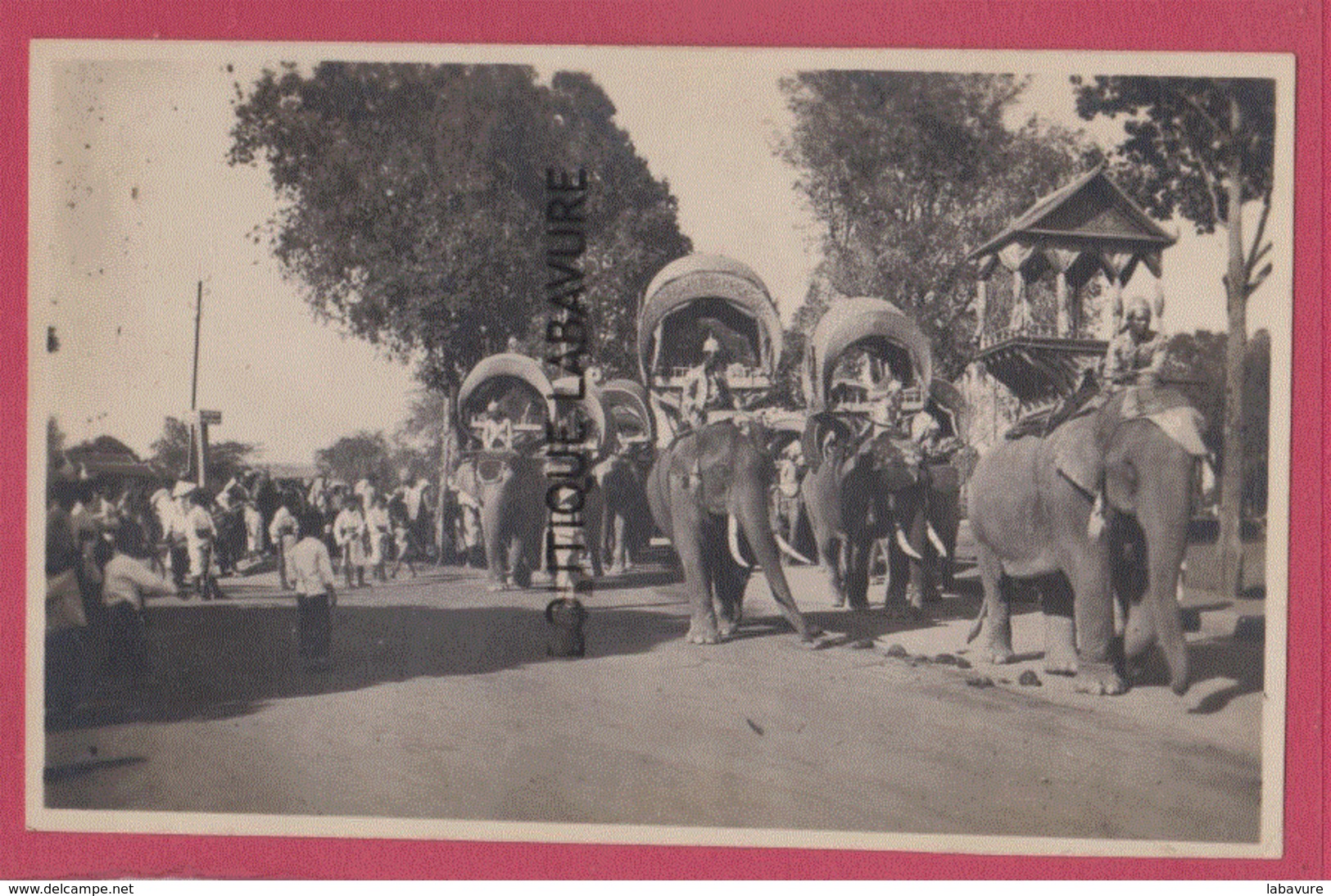 ASIE---CAMBODGE--PHNOM-PENH--Elephants En Promenade--(sans Legende) Cpsm Pf - Cambodge