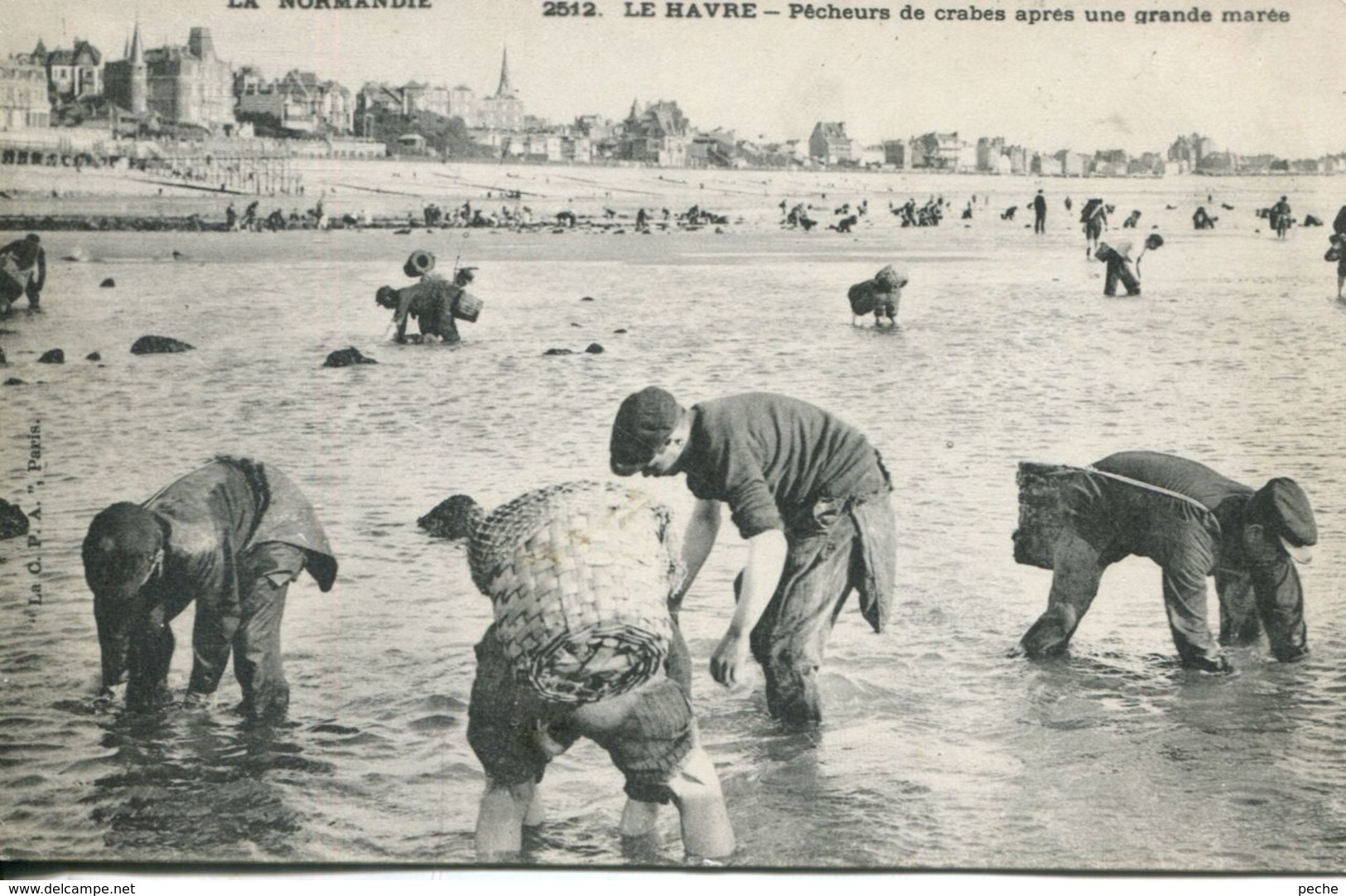 N°70121 -cpa Le Havre -pêcheurs De Crabes Après Une Grande Marée- - Non Classés