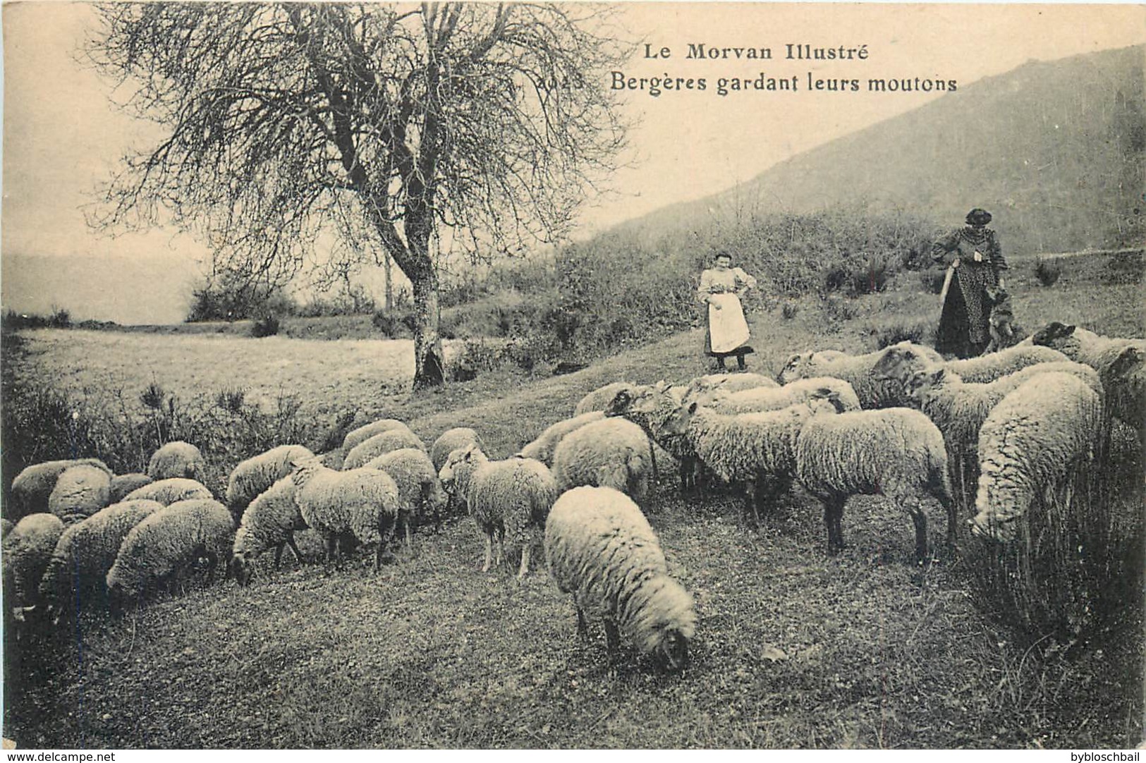 CPA 58 Nièvre LE MORVAN ILLUSTRE BERGERES GARDANT LEURS MOUTONS Troupeau - Autres & Non Classés