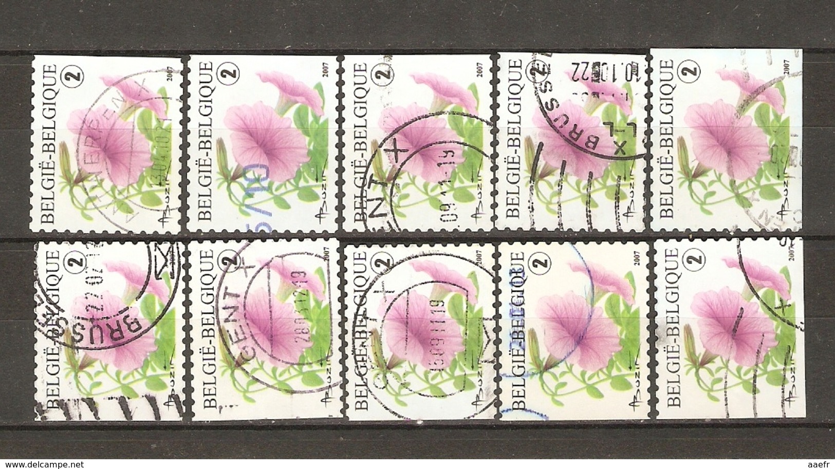 Belgique 2007 - Pétunia - Petit Lot De 10 Timbres De Carnet - 4 Différents - Non Classés