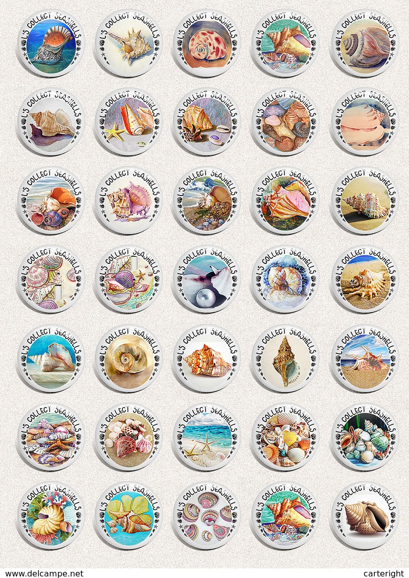 35 X Seashells Sea Shells ART BADGE BUTTON PIN SET 3 (1inch/25mm Diameter) - Animaux