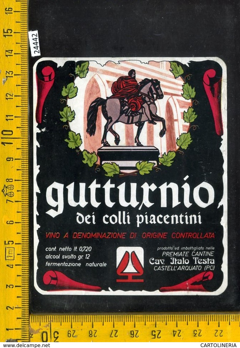 Etichetta Vino Liquore Gutturnio Dei Colli Piacentini-Piacenza - Altri & Non Classificati