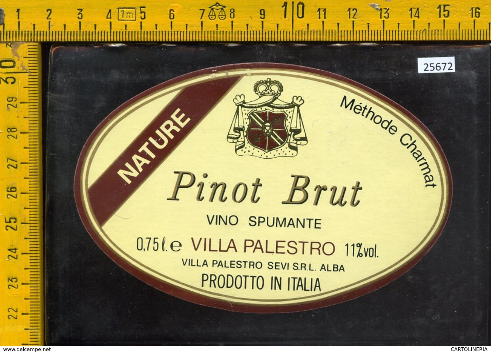 Etichetta Vino Liquore Pinot Brut-Villa Palestro-Alba - Altri & Non Classificati