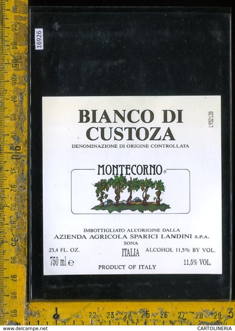 Etichetta Vino Liquore Bianco Di Custoza Montecorno Landini-Sona VR - Altri & Non Classificati