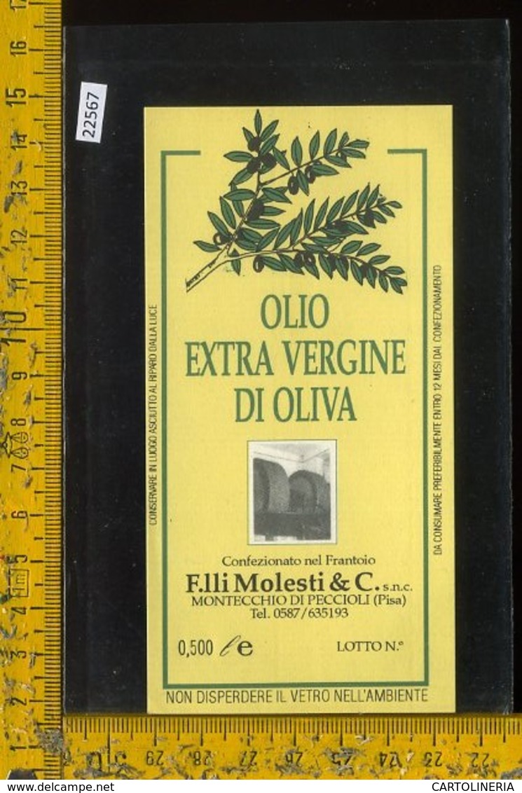 Etichetta Olio Extra Vergine Di Oliva F.lli Molesti Montecchio Di Peccioli-Pisa - Altri & Non Classificati
