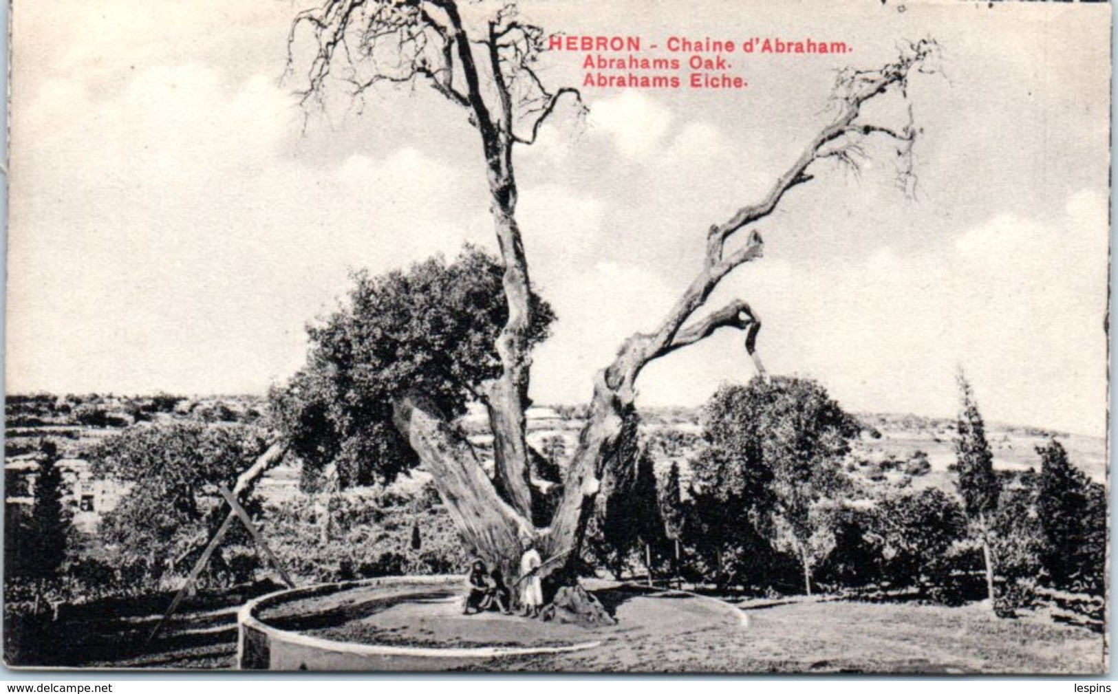 ASIE - ISRAEL --  Hebron - Chaine D'Abraham - Israël