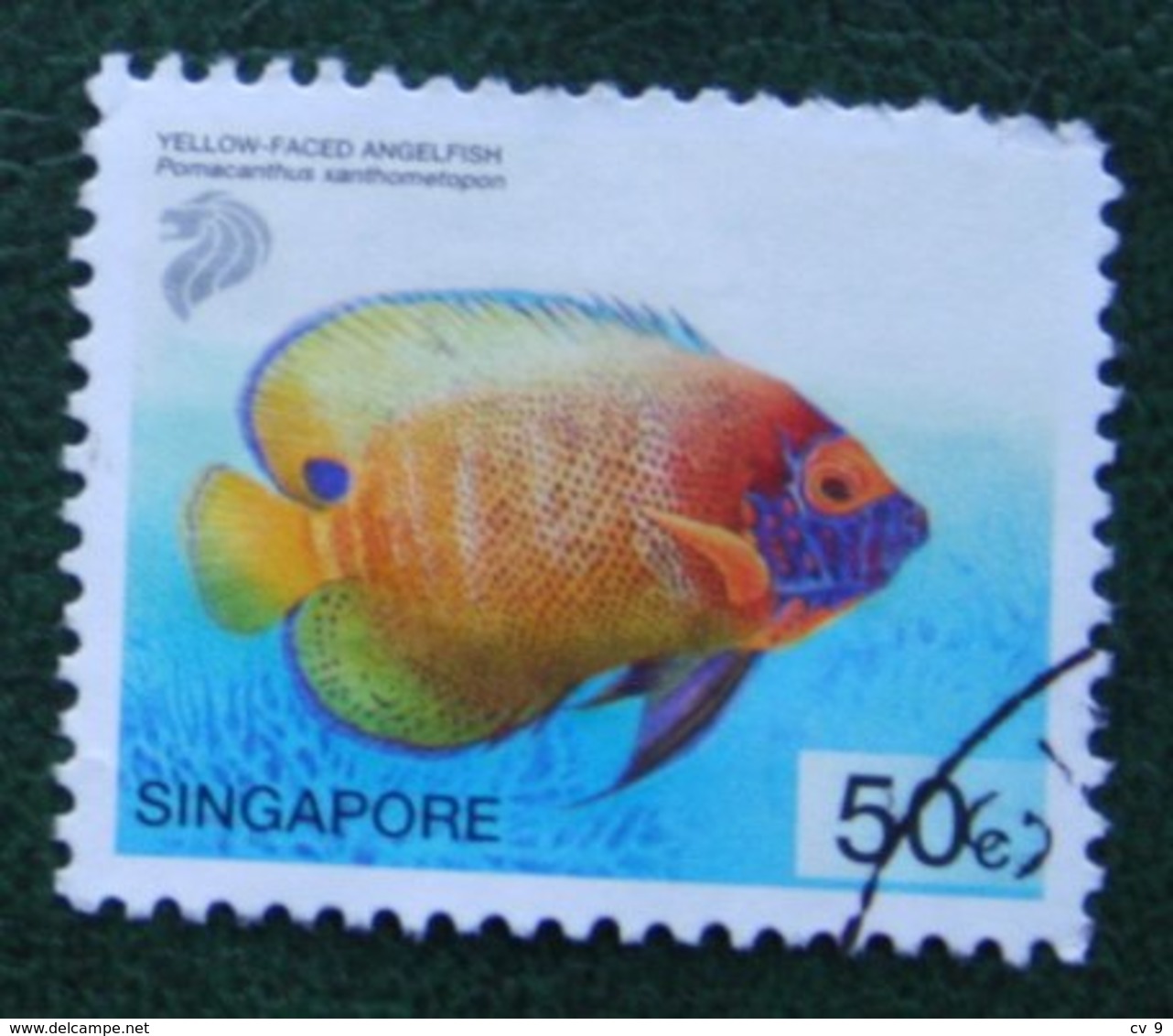 50 C Tropical Marine Yellow-faced Angelfish 2001 Mi 1081 Used Gebruikt Oblitere SINGAPORE SINGAPUR - Singapur (1959-...)