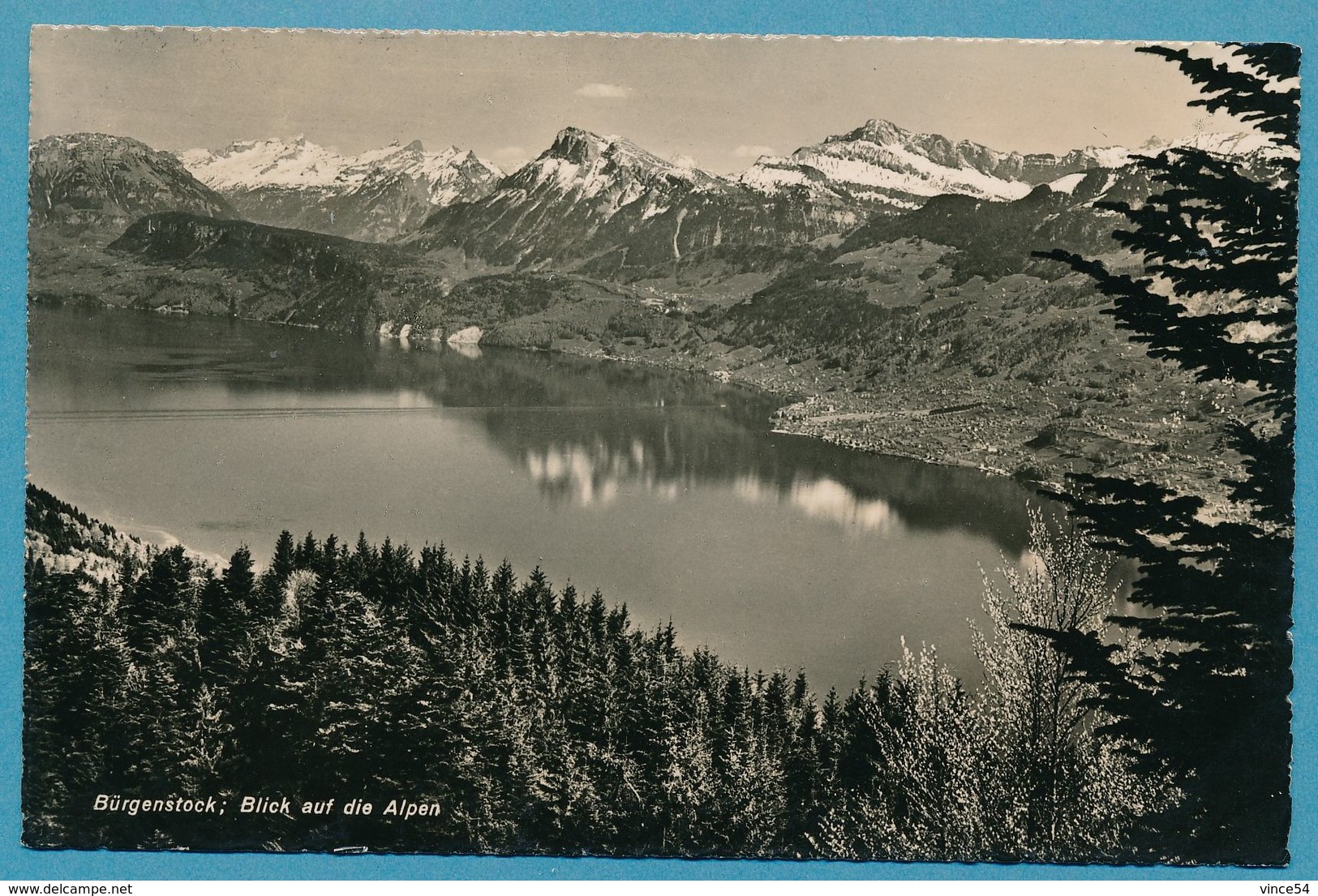 Bürgenstock , Blick Auf Die Alpen - Carte Circulé 1965 - Sonstige & Ohne Zuordnung