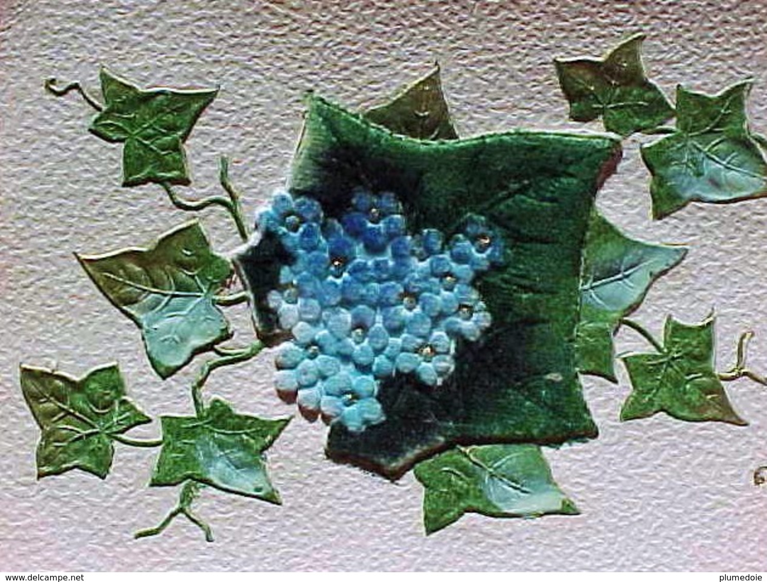 Cpa  Gaufrée FLEURS LIERRE  MYOSOTIS En VELOURS , 1909, Dorures , FLOWERS FORGET ME NOT & IVY Velvet Embossed OLD PC - Fleurs