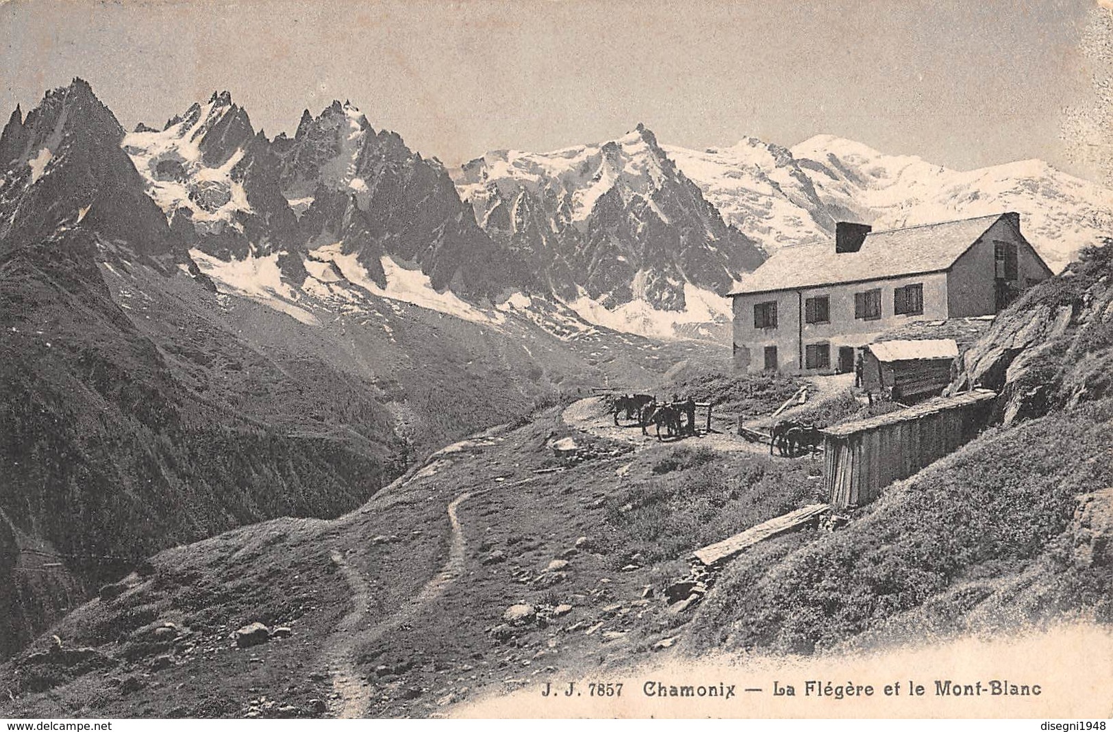 07653 "CHAMONIX - LA FLÉGÈRE ET LE MONT BLANC" CART. ORIG. SPED. '909. - Chamonix-Mont-Blanc