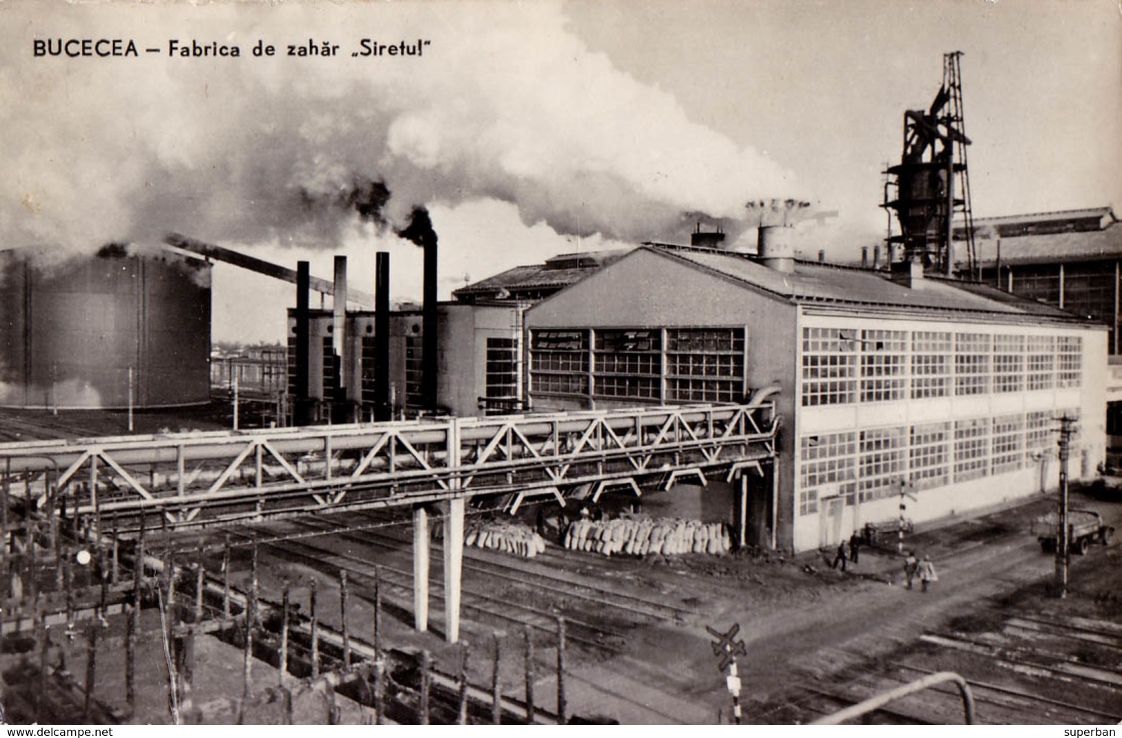 BUCECEA : FABRICA DE ZAHAR SIRETUL / FABRIQUE DE SUCRE / SUGAR FACTORY - CARTE VRAIE PHOTO / REAL PHOTO ~ 1960 (aa519) - Roumanie