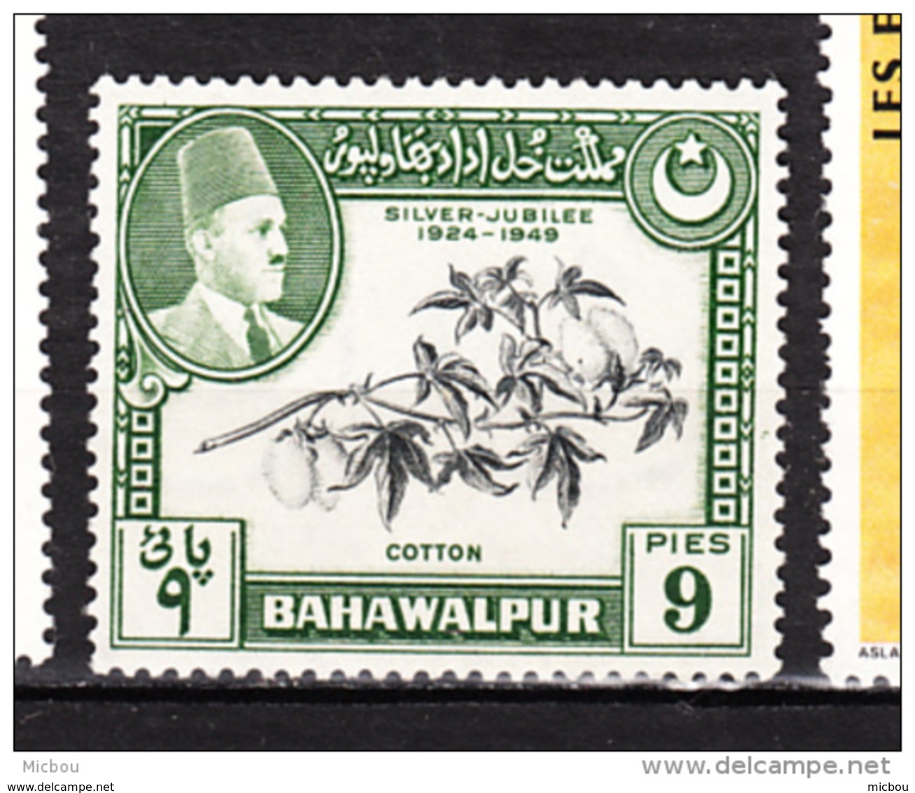 Bahawalpur, Coton, Cotton, Textile - Textile