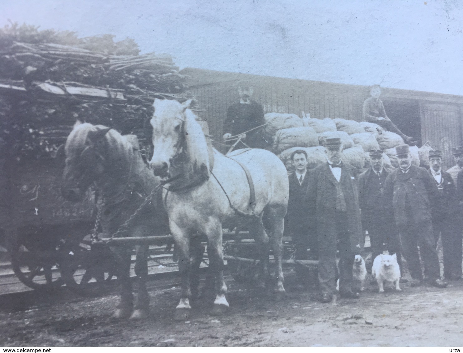 Cpa Photo Attelage Dans Une Gare-lieu à Identifier-belle Animation - Orp-Jauche