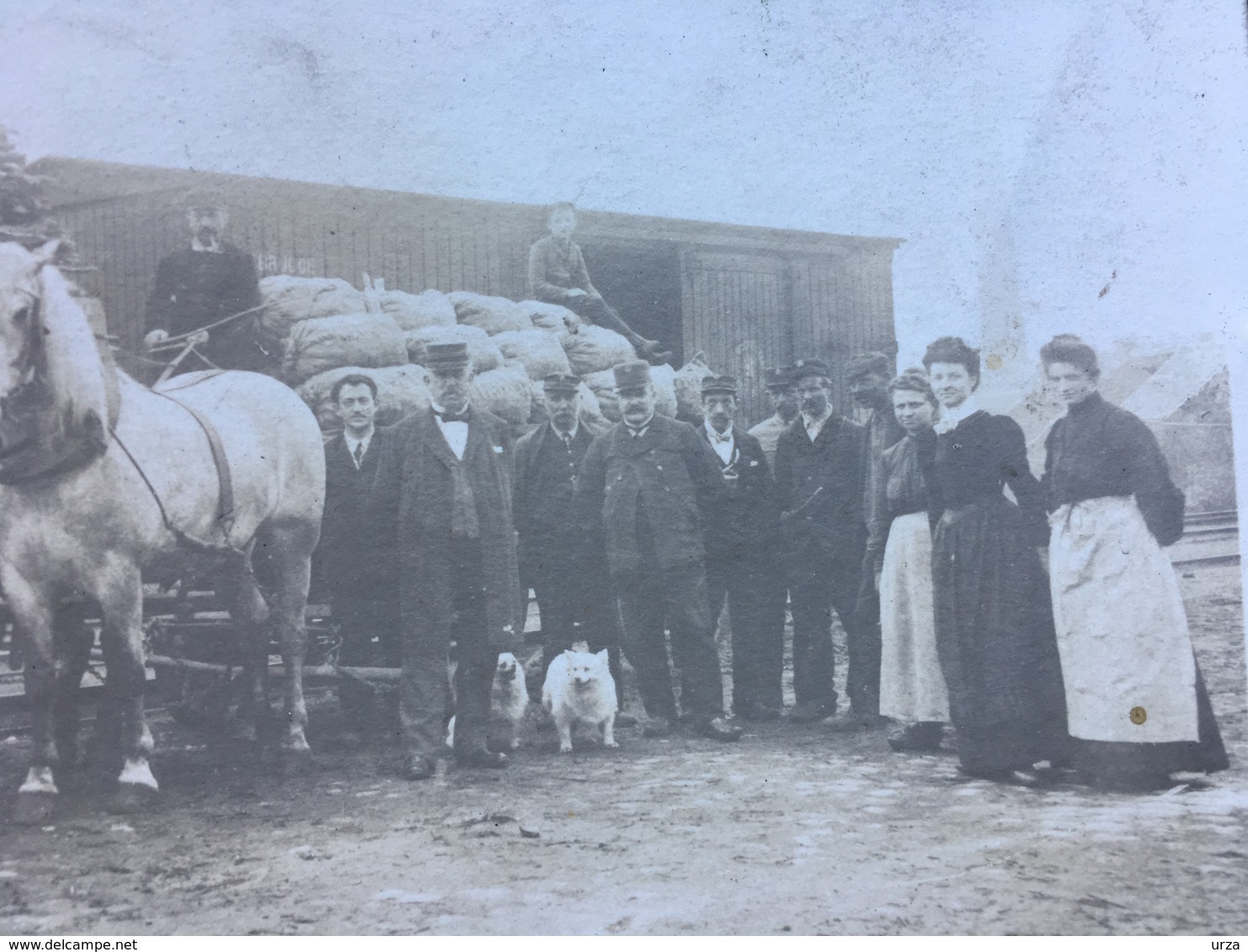 Cpa Photo Attelage Dans Une Gare-lieu à Identifier-belle Animation - Orp-Jauche