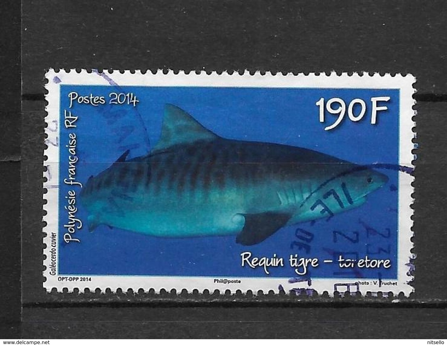 LOTE 1828  ///  (C025)  POLYNESIE FRANÇAISE  1068 De 2014 Oblitéré "le Requin Tigre" - Usados