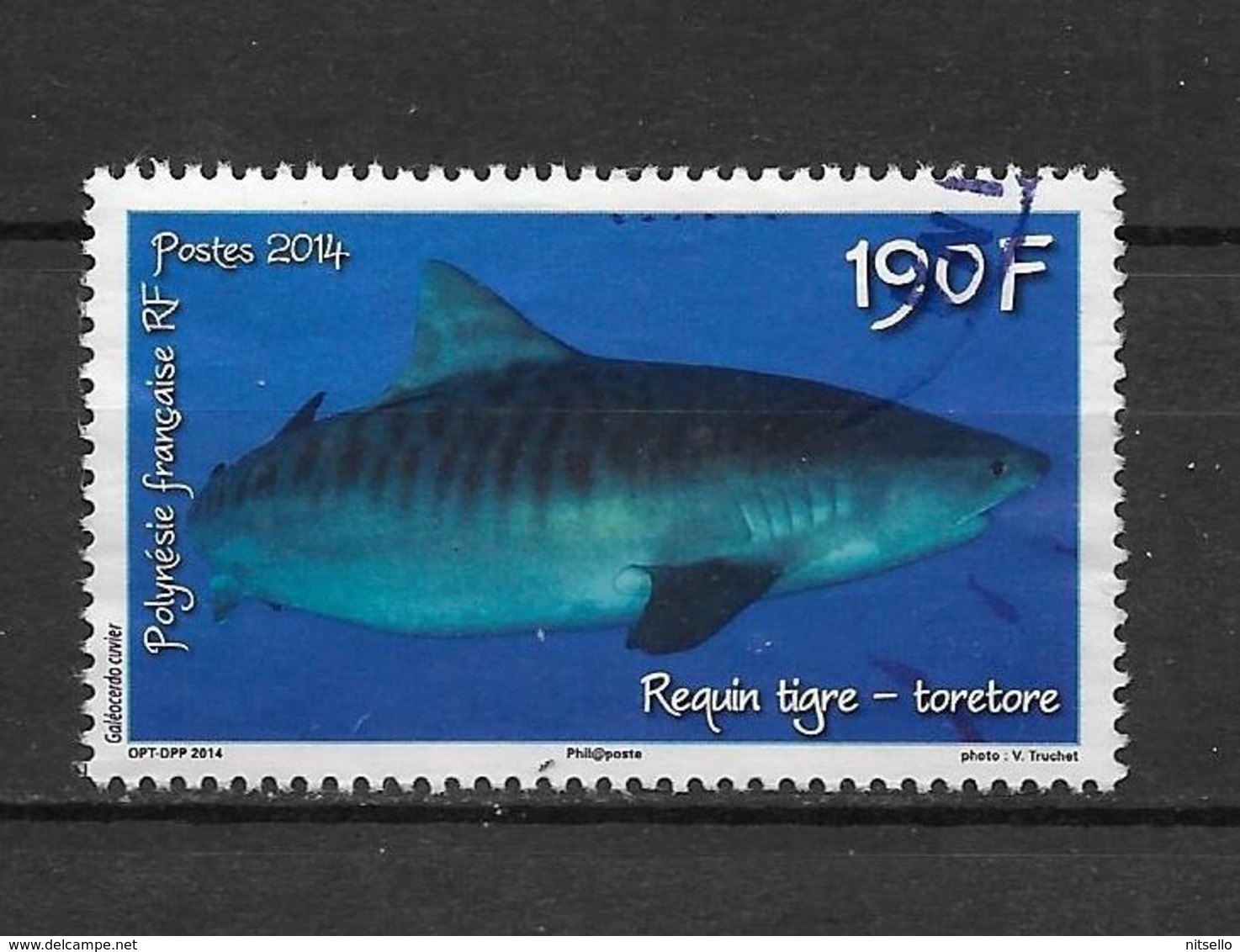 LOTE 2202   ///  (C025)  POLYNESIE FRANÇAISE  1068 De 2014 Oblitéré "le Requin Tigre" - Oblitérés