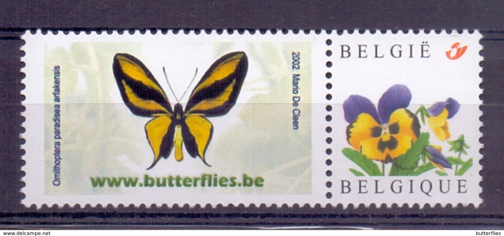 Belgie - Duostamp - Vlinder - Ornithoptera Paradisea Arfakensis - **  Met Viooltje - Beperkte Uitgifte** - Neufs