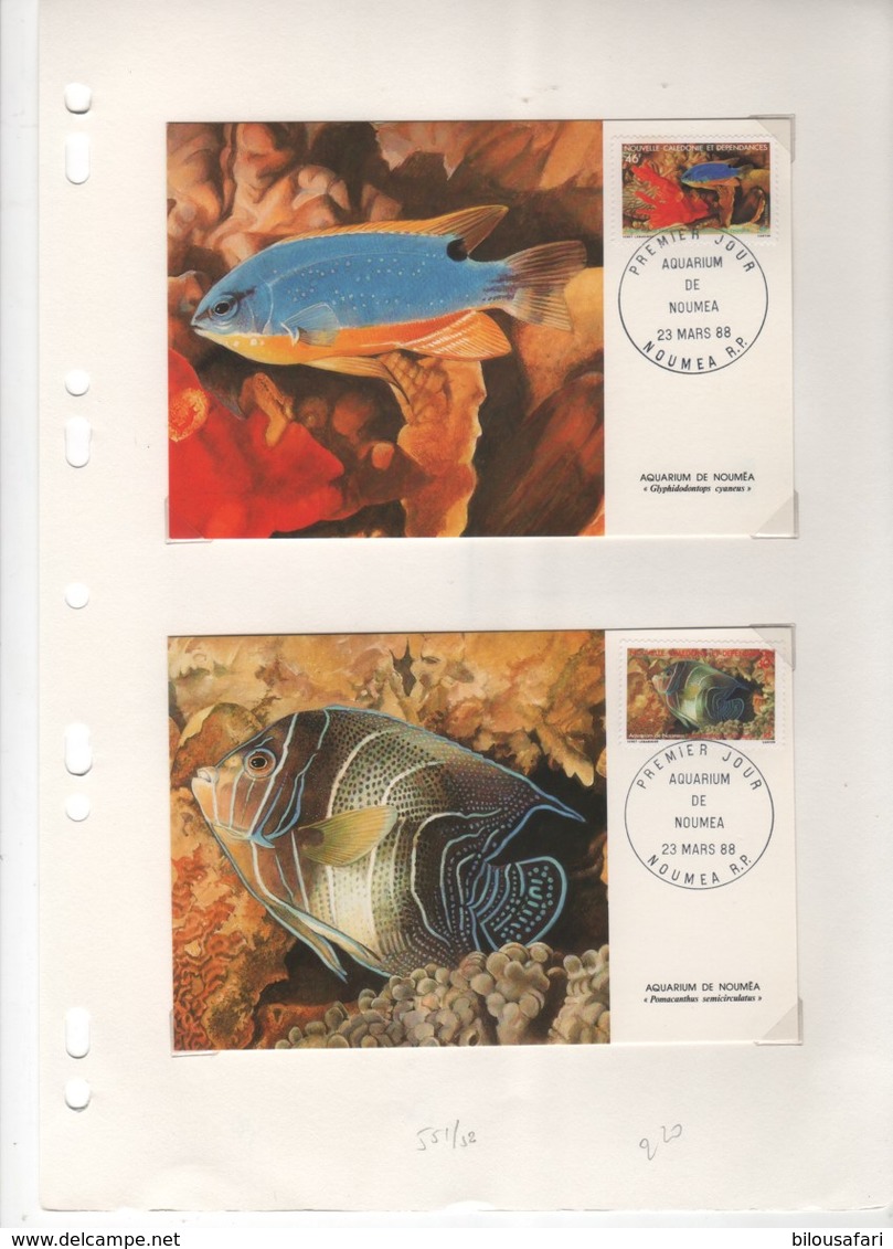 Nouvelle-Calédonie > 2 Cartes-maximum N° 551 & N 552 -AQUARIUM - Cartes-maximum