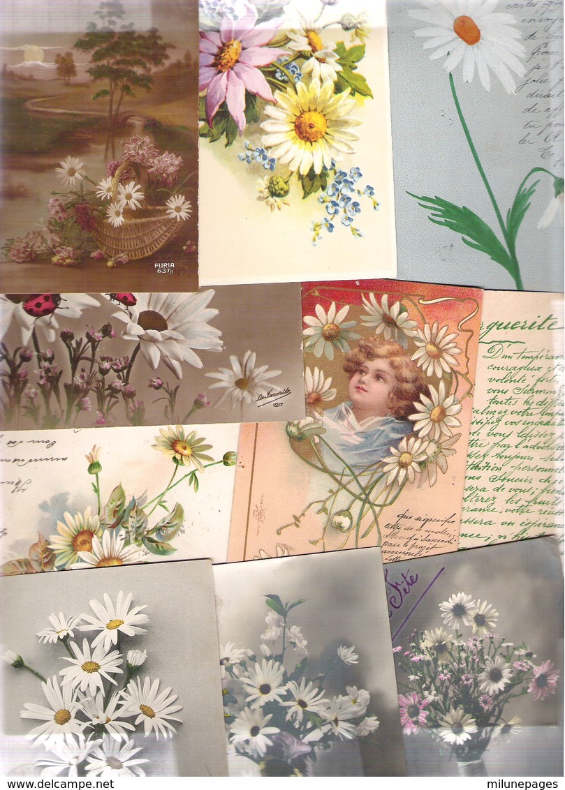 Lot De 10 Cartes Avec Des Marguerittes Dont Illustrateur Période  Art Nouveau à Art Déco 1900/1930 - 5 - 99 Cartes