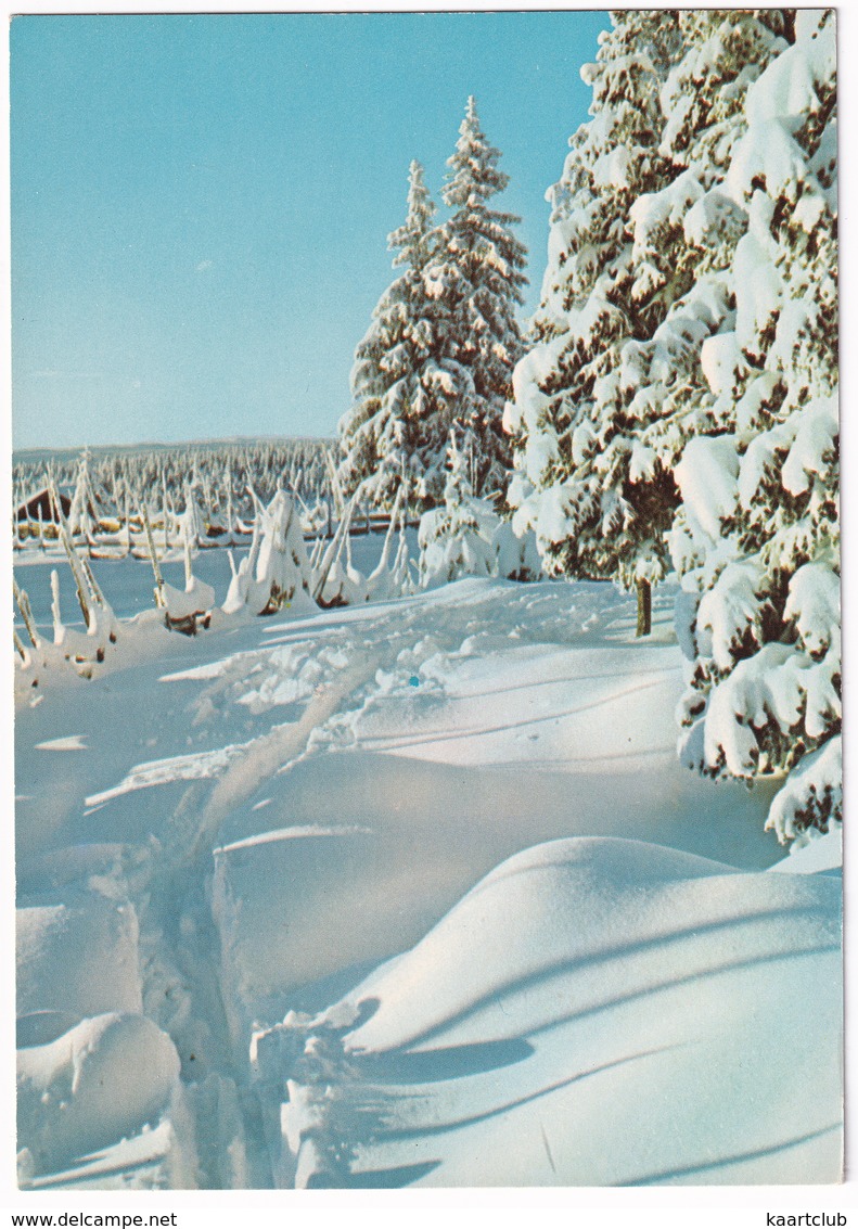 Vinter I Norge - (Norge - Norway) - Noorwegen