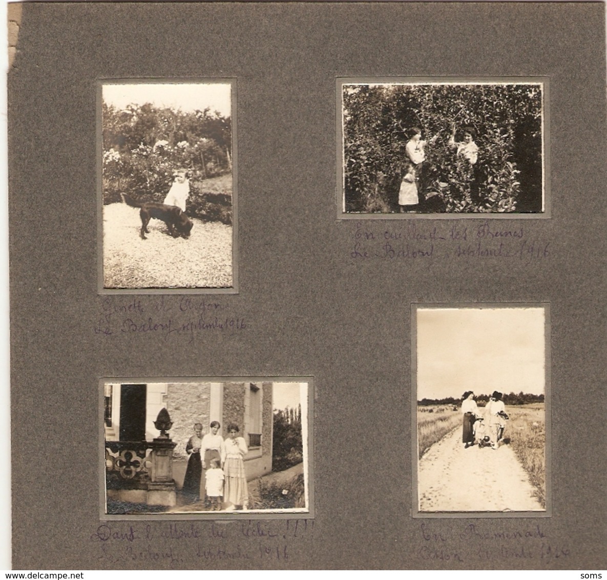 Lot De 15 Photographies Anciennes De Cesson (77), La Vie Au Balory En 1916, Billard, Jardin Fleuri, Vie De Famille, Rare - Lieux