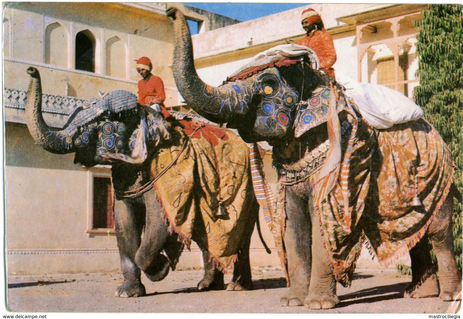 INDIA  JAIPUR  Decorated Elephants  Elefanti Decorati - Éléphants