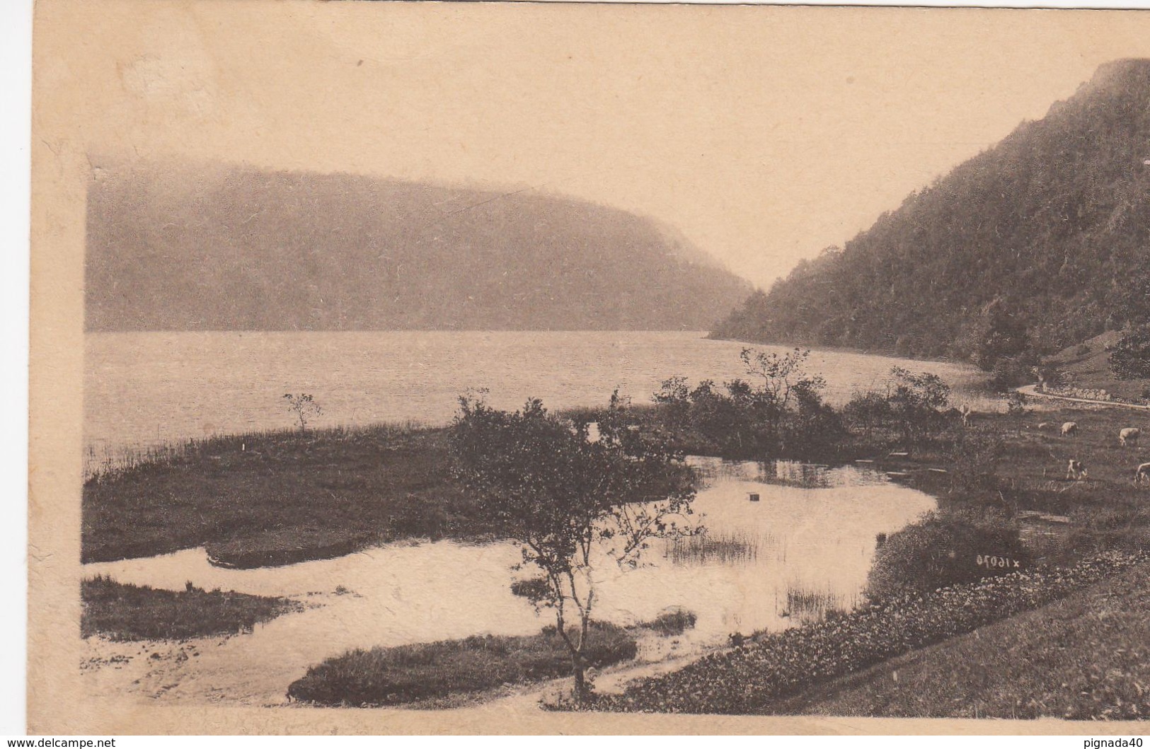 Cp , 39 , MENÉTRUX-en-JOUX , Le LAC Du VAL - Autres & Non Classés