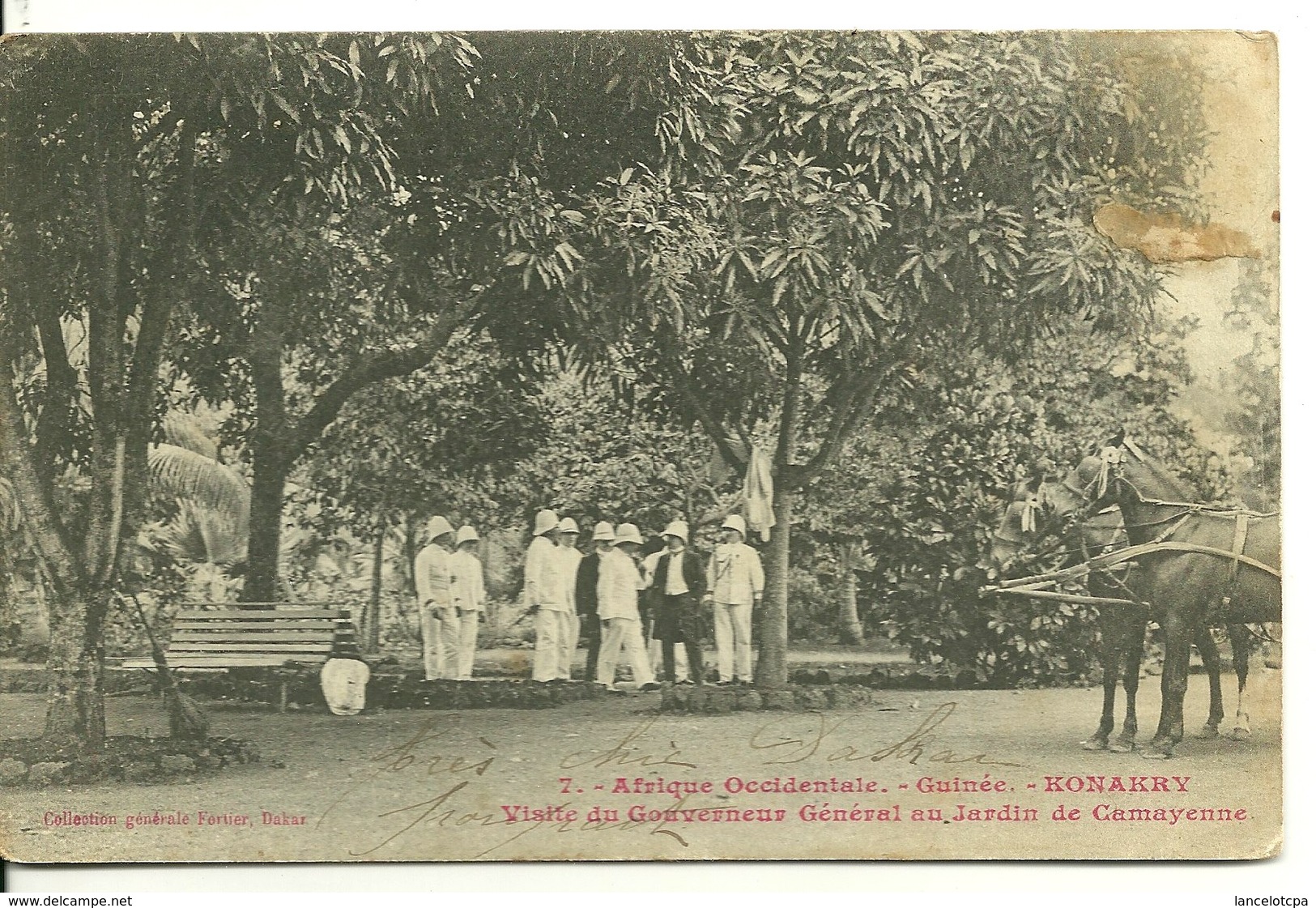 AOF - GUINEE - CONAKRY / VISITE DU GOUVERNEUR GENERAL AU JARDIN DE CAMAYENNE - Guinée