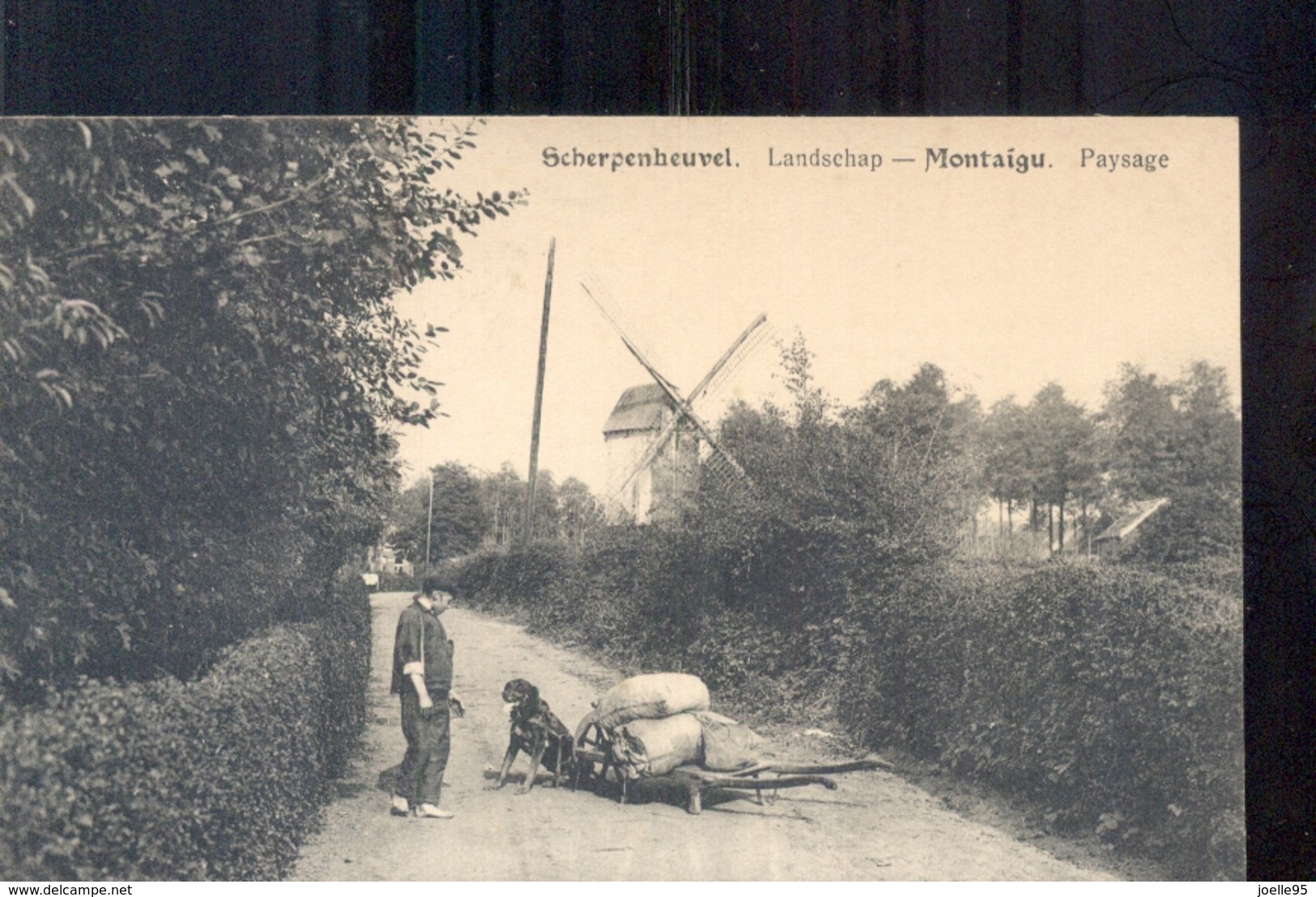 Scherpenheuvel - Hondskar - Molen - 1920 - Scherpenheuvel-Zichem