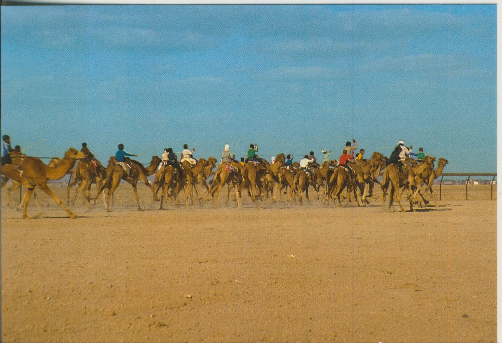 Dubai V. 1978  Camel Race  (55304) - Dubai