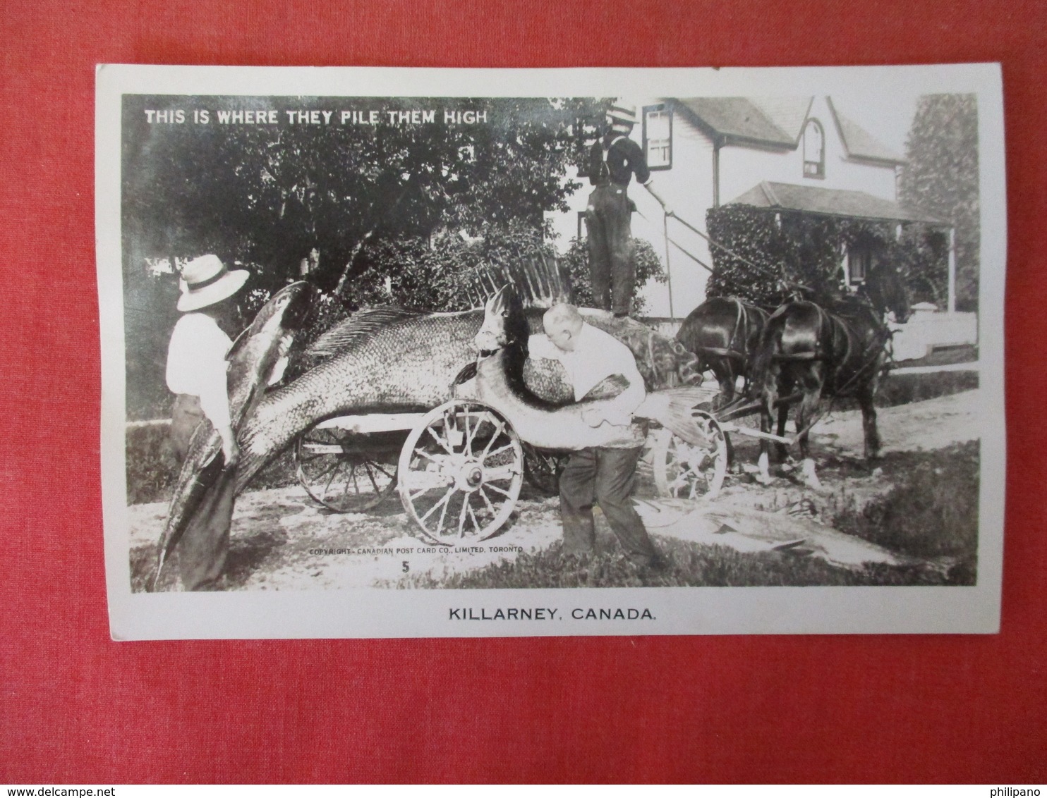 RPPC Fantasy Large Fish Catch       Killarney Canada   Ref 3165 - Fishing