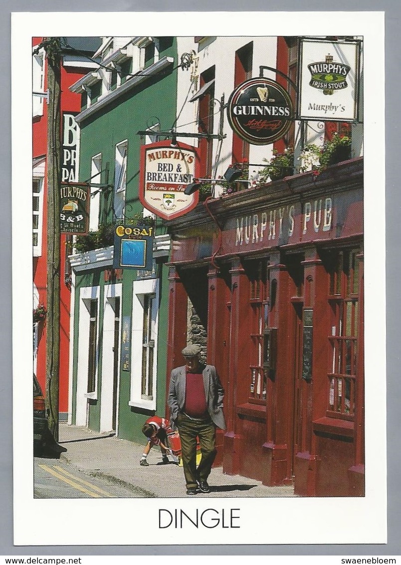 IE. IERLAND. DINGLE. MURPHY'S PUB. - Kerry