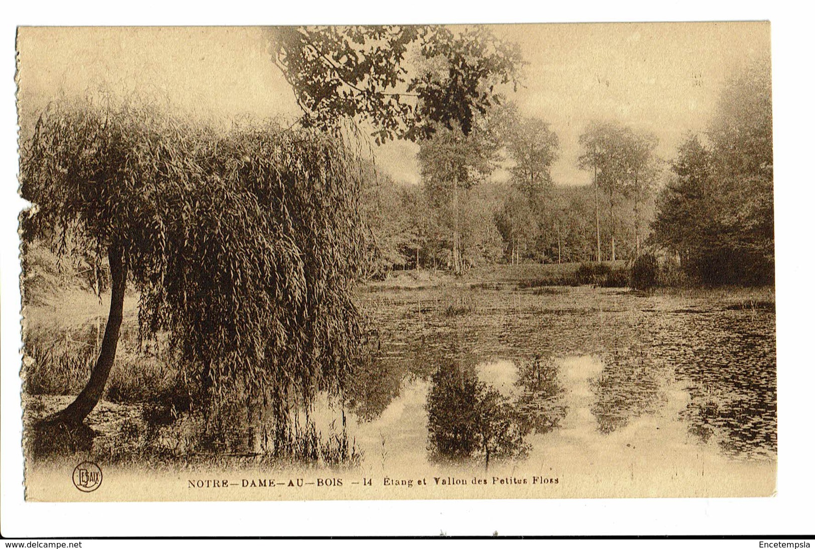 CPA - Carte Postale - Belgique- Notre Dame Au Bois(Jesus Eik)-Vallon Des Petites Floes  VM623 - Overijse