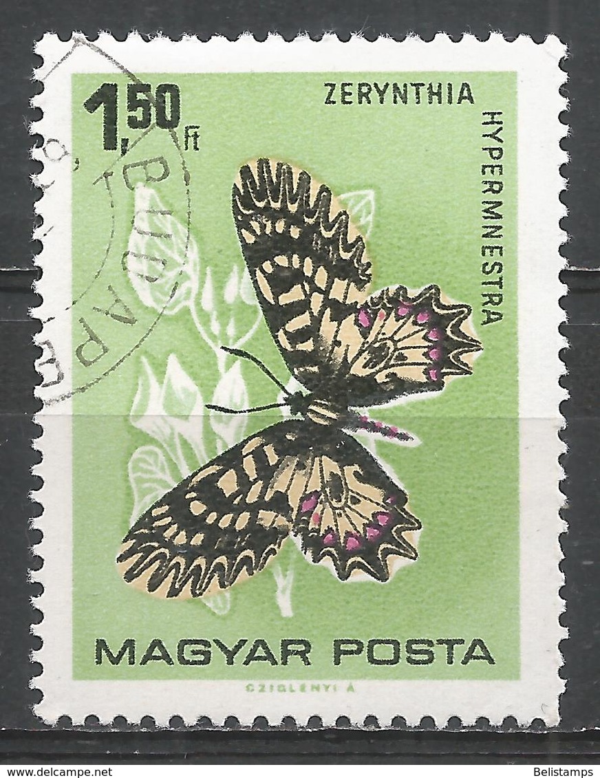 Hungary 1966. Scott #1731 (U) Butterfly - Oblitérés