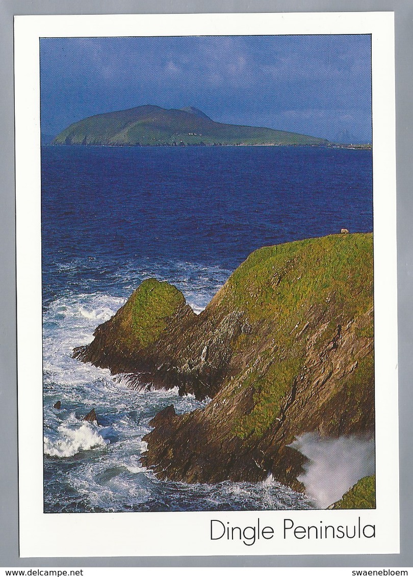 IE. IERLAND. IRELAND DINGLE PENINSULA. - Kerry