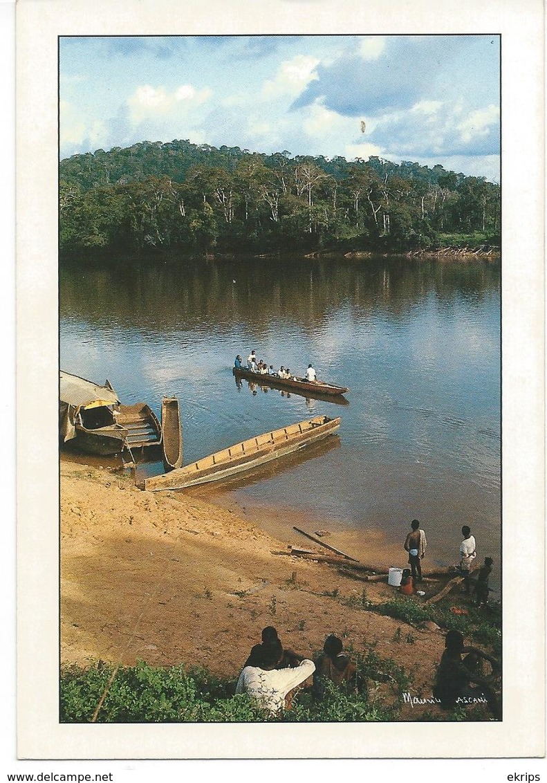 72 Paysage De La Sangha - Cameroun