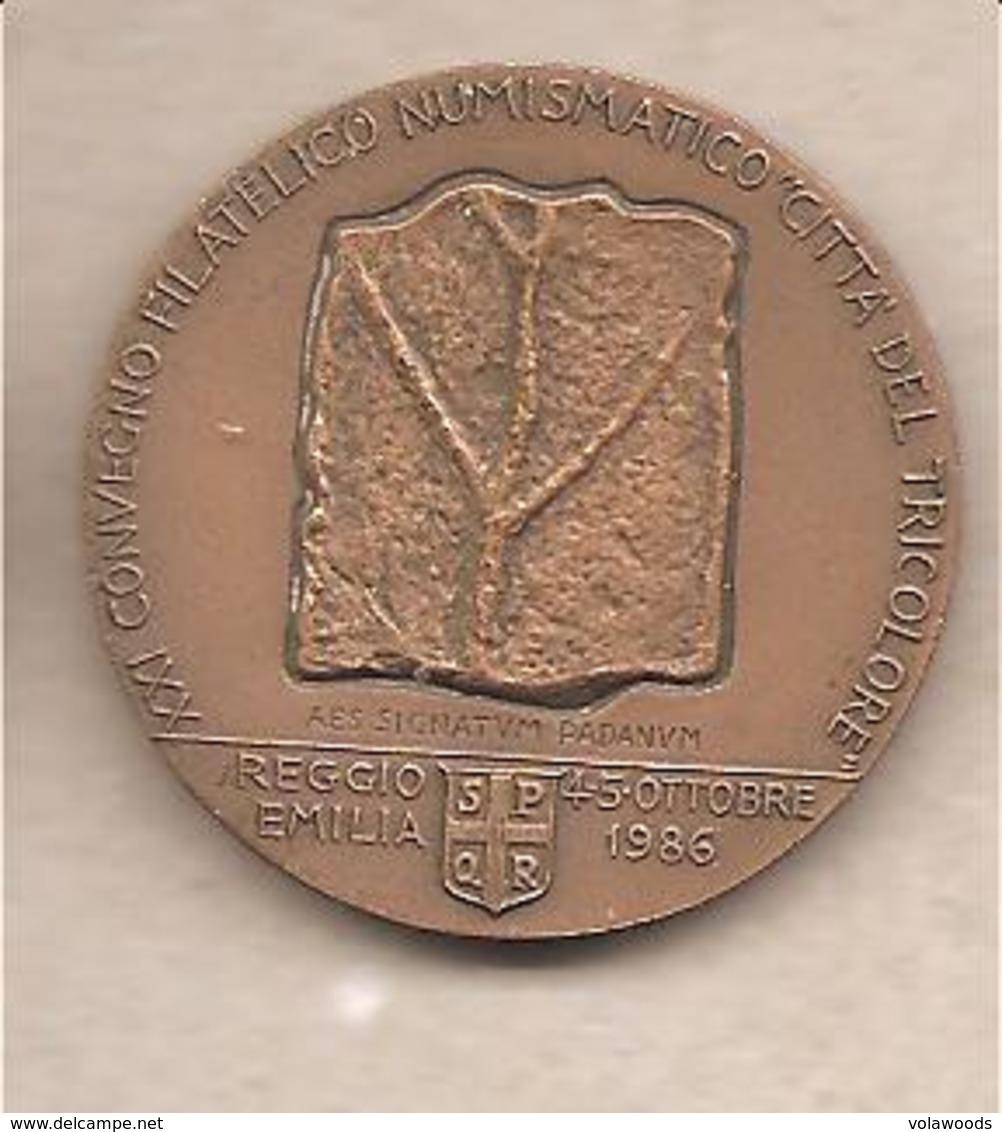 Italia - Medaglia In Bronzo: XXI° Convegno Numismatico Reggio Emilia - 1 Centenario Morte G. Chierici - Botanico - 1986 - Altri & Non Classificati