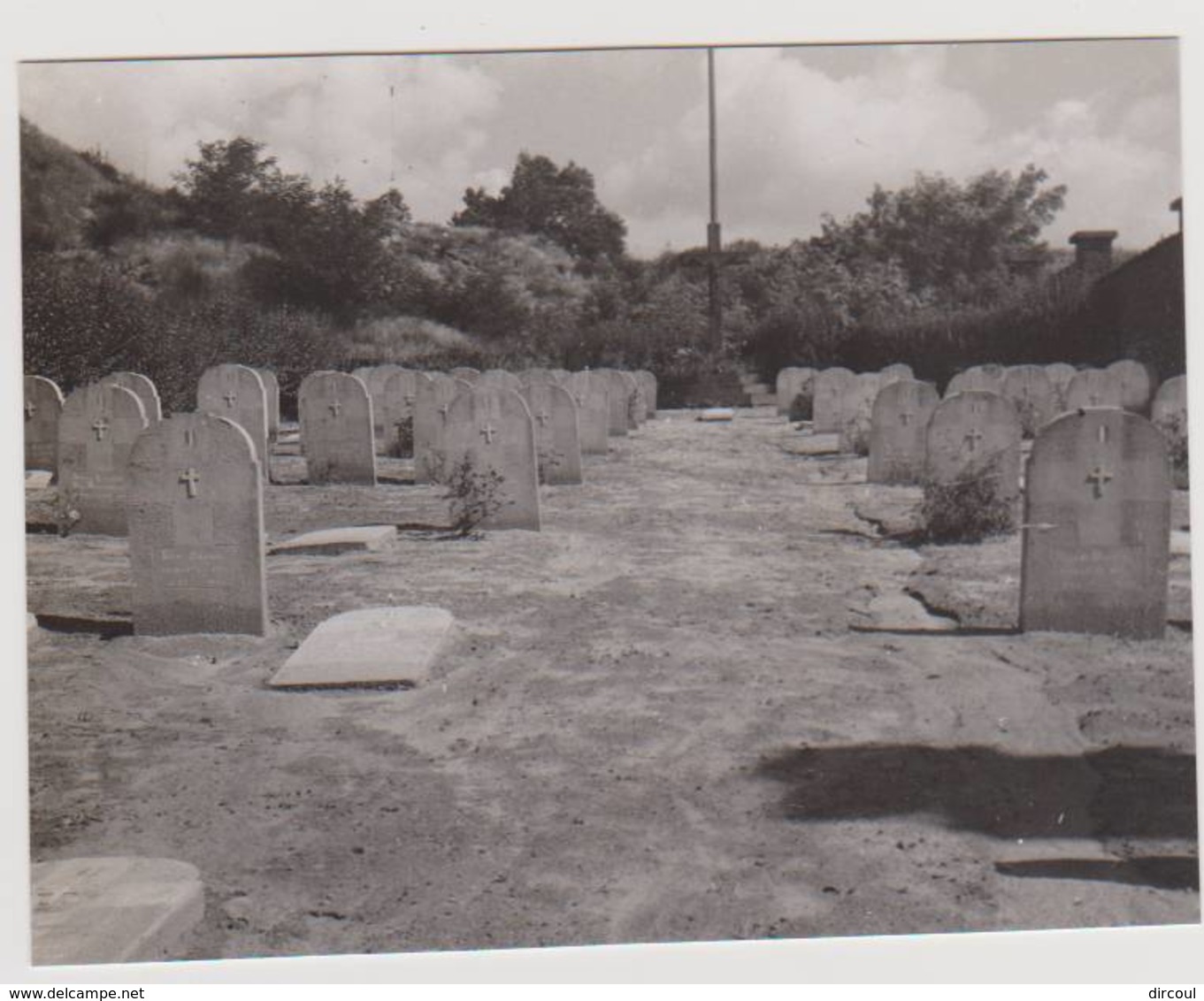 40106 -  Limal  Cimetière  Français  -  Ancienne Photo 1951 -  12,5 X  9,5 - Wavre