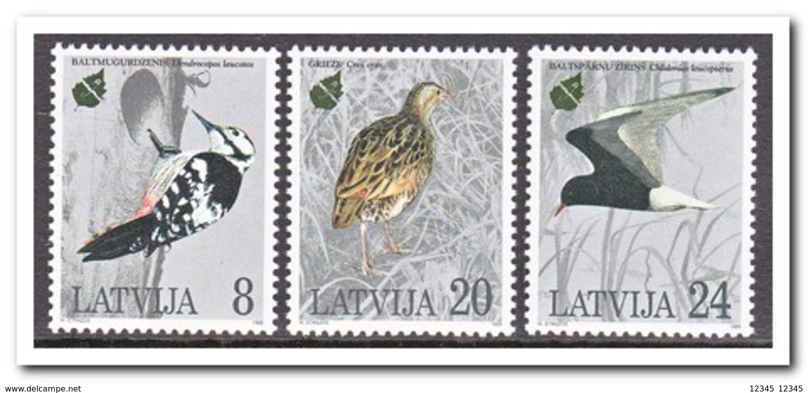 Letland 1995, Postfris MNH, Birds - Letland