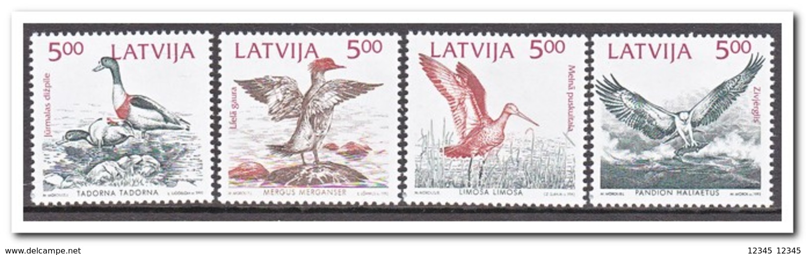 Letland 1992, Postfris MNH, Birds - Letland