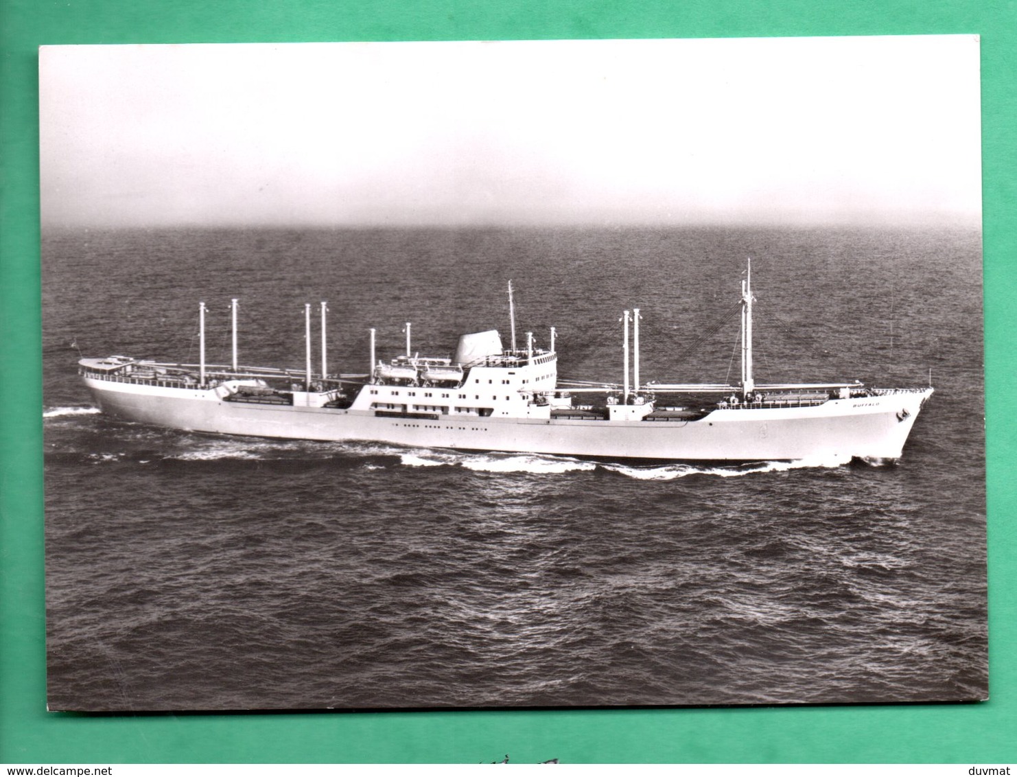 Norvege Norway Norge Bateau Cargo Ship "MS Buffalo" Fred Olsen Lines ( Format 10,5cm X 14,8cm ) - Commerce